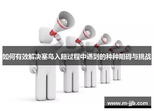 如何有效解决塞鸟入籍过程中遇到的种种阻碍与挑战