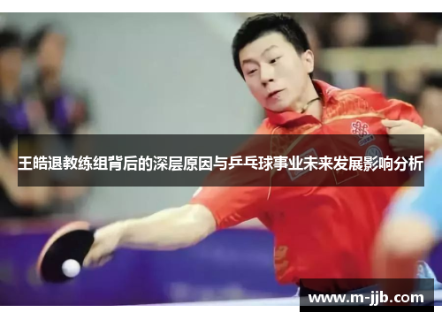 王皓退教练组背后的深层原因与乒乓球事业未来发展影响分析