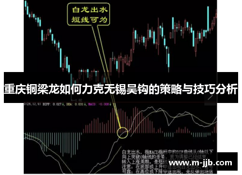重庆铜梁龙如何力克无锡吴钩的策略与技巧分析