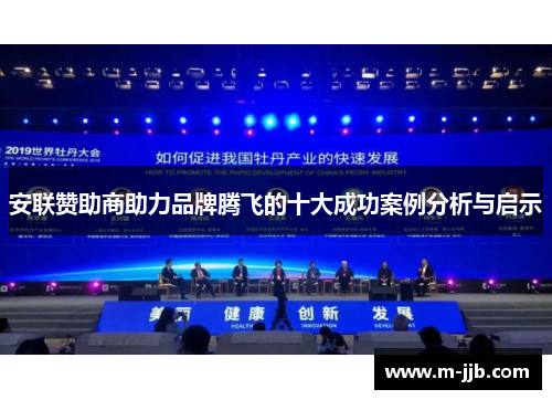 安联赞助商助力品牌腾飞的十大成功案例分析与启示