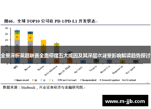 全景深析英超联赛全面停摆五大成因及其深层次背景影响解读趋势探讨